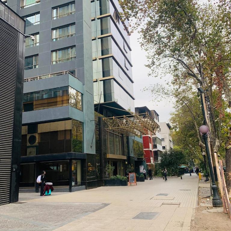 Metro Pedro de Valdivia, Providencia, Departamento - One-Bedroom Apartment - 20