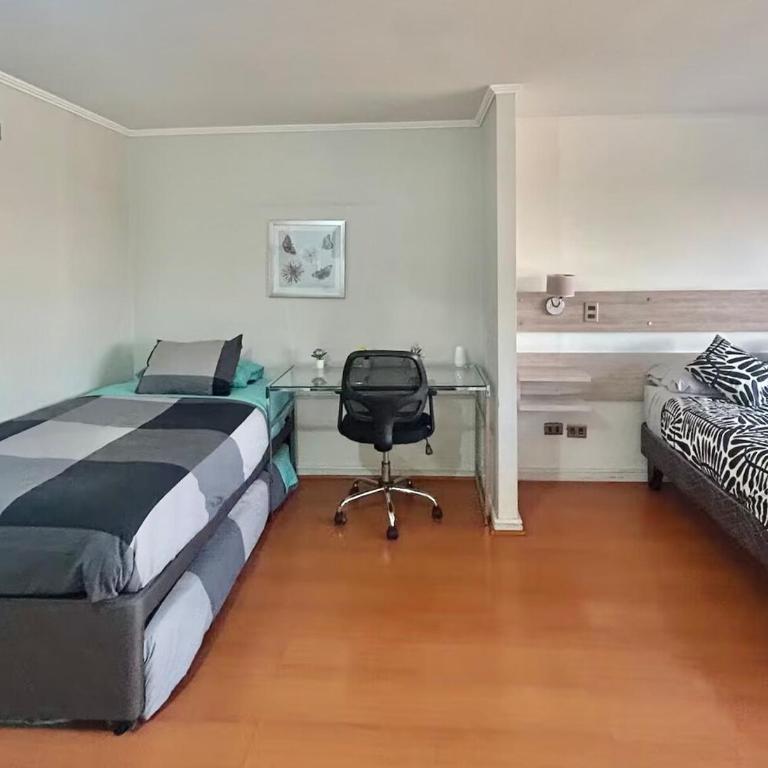 Metro Pedro de Valdivia, Providencia, Departamento - One-Bedroom Apartment - 21
