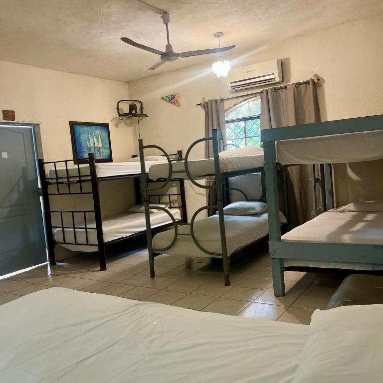 Hostalito Lahar - Cama en habitación compartida de 8 camas - 6