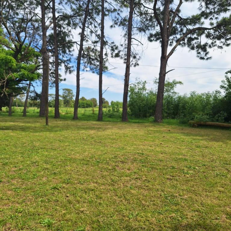 Chacra del Molino - Casa de 2 dormitorios - 11