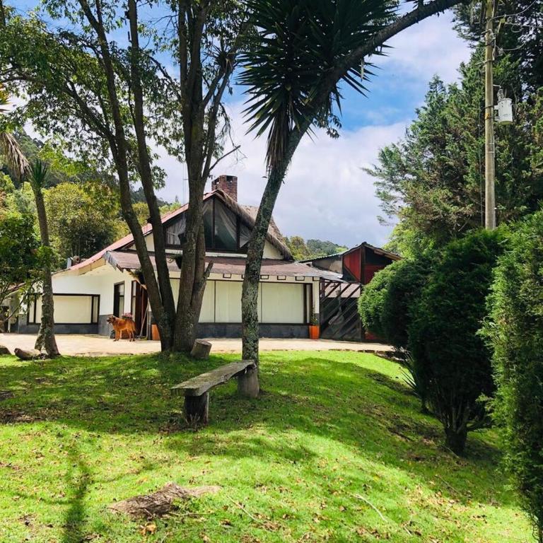 Villa Shalom - Two-Bedroom House - 16