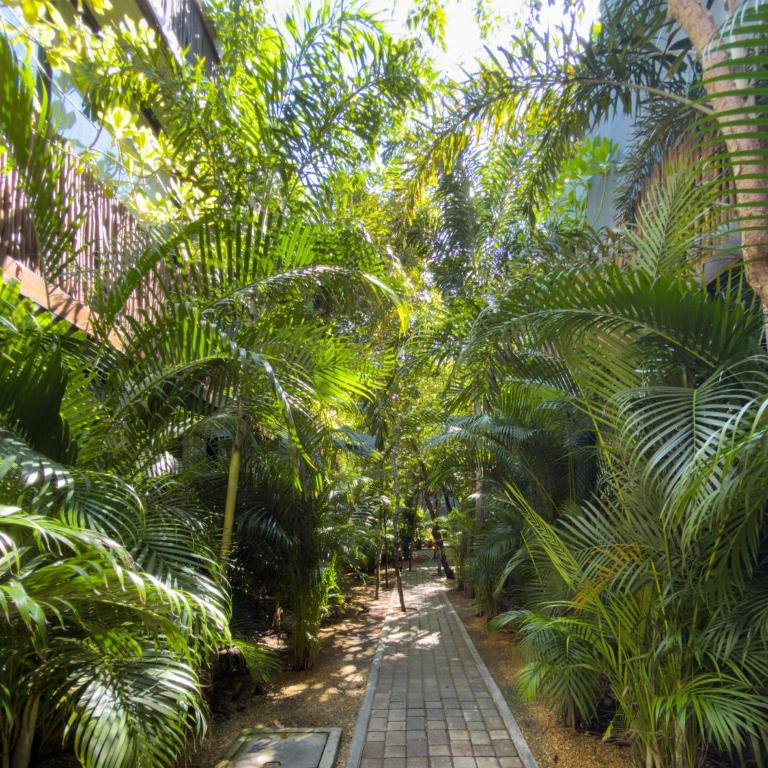 Near the beach Exclusive PH with private pool coast view Humana - Two-Bedroom Apartment with Terrace and Sea View - 40