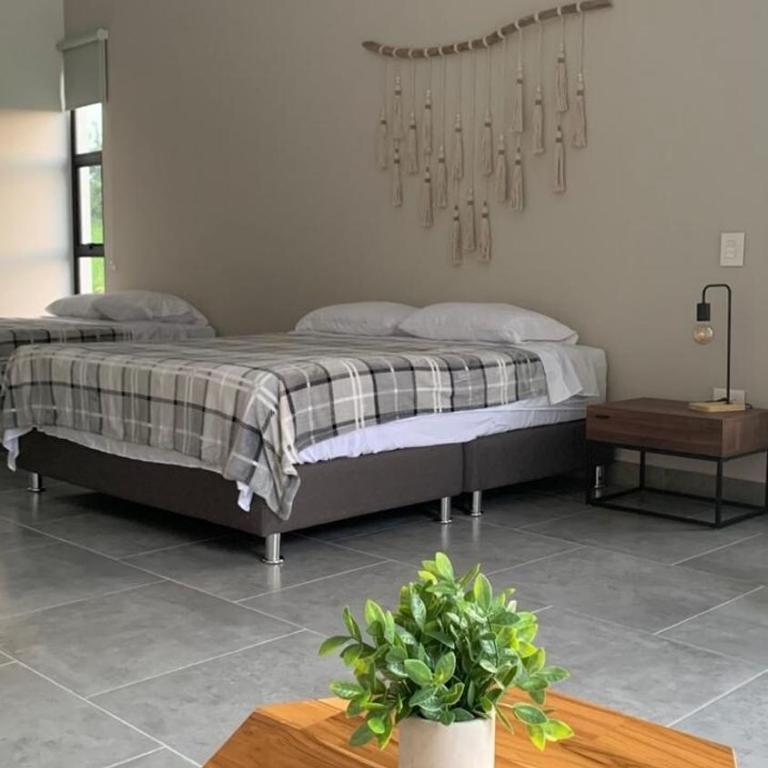 BosqueVivo - Cabaña de lujo con piscina y jacuzzi en Doradal - Casa - 19