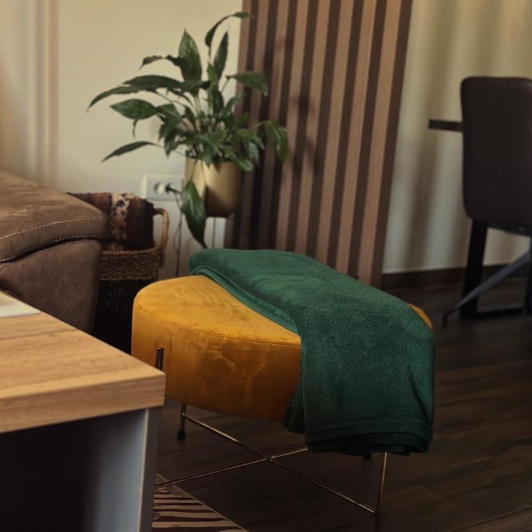 Apartman Viktorija - One-Bedroom Apartment - 28