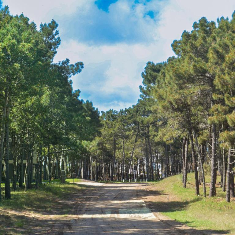 VILLAROBLES bosque y playa - Five-Bedroom House - 31