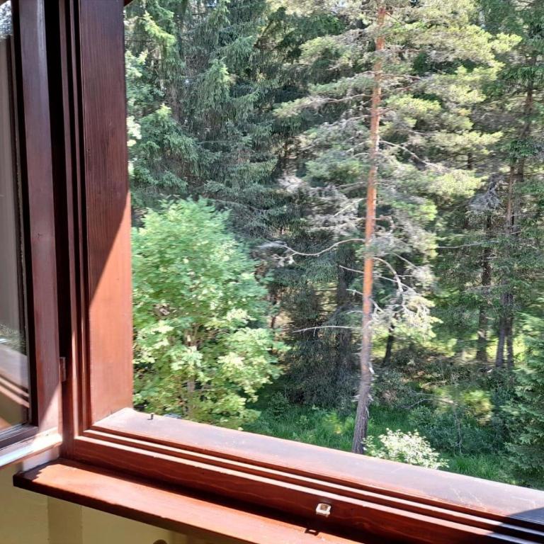 Appartamento Magico Abete by Sunhome Fiemme - Apartamento de 2 dormitorios con vistas a la montaña - 3