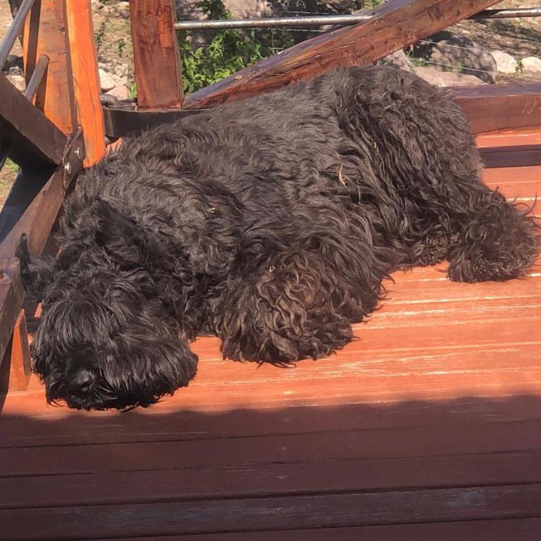 ACHIRAS SUNSET - Chalet de 3 dormitorios - 80