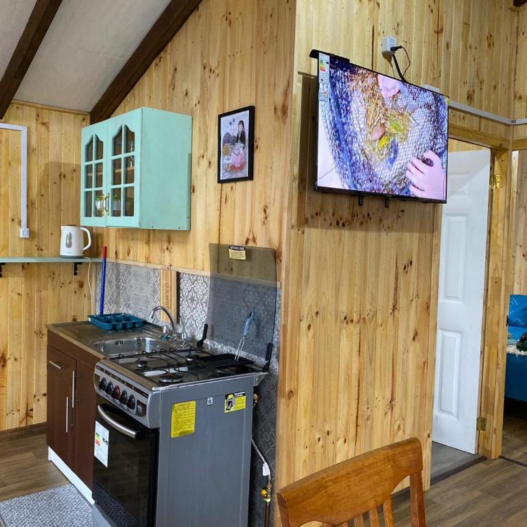 Cabañita Ten Ten Vilú - Two-Bedroom Apartment - 5