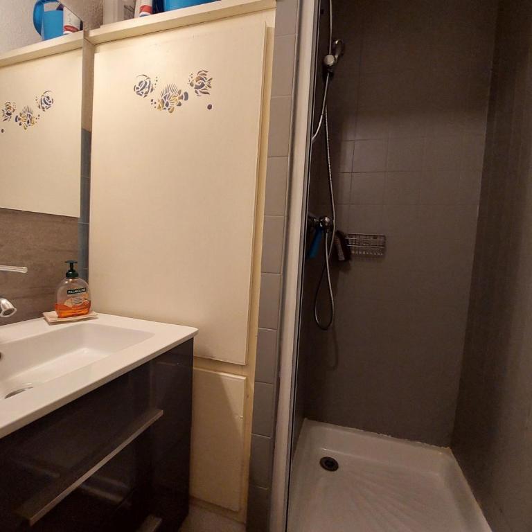 Studio confortable pour 3 pers. avec parking aux Deux Alpes - FR-1-516-221 - Monolocale - 4