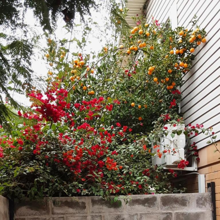 Hostal Abrazo de Maipu - Habitación Doble - 14