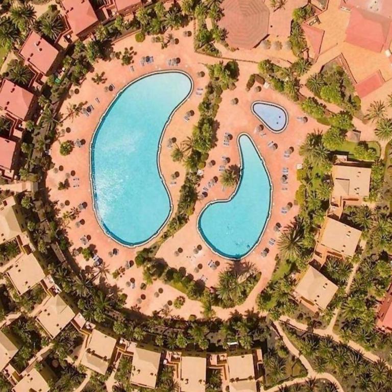 NEW CASA BLU - Oasis Tamarindo 1 - Apartamento de 1 dormitorio - 15