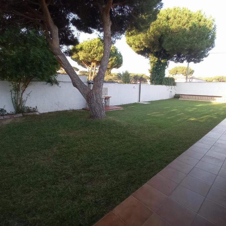 El Vivero - Casa - 41