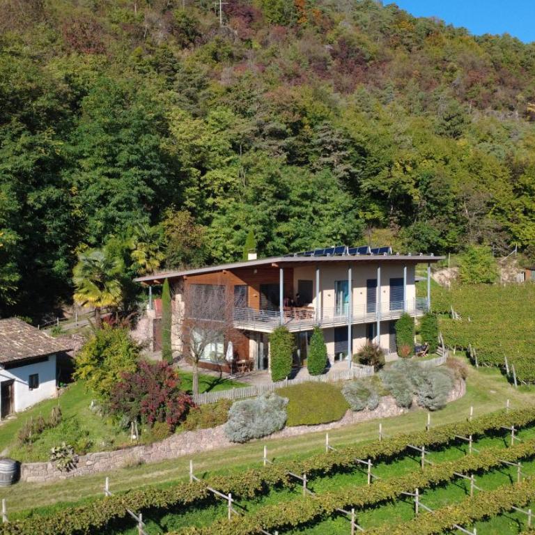 Kreuzsteinhof - Appartement 1 Chambre - 15