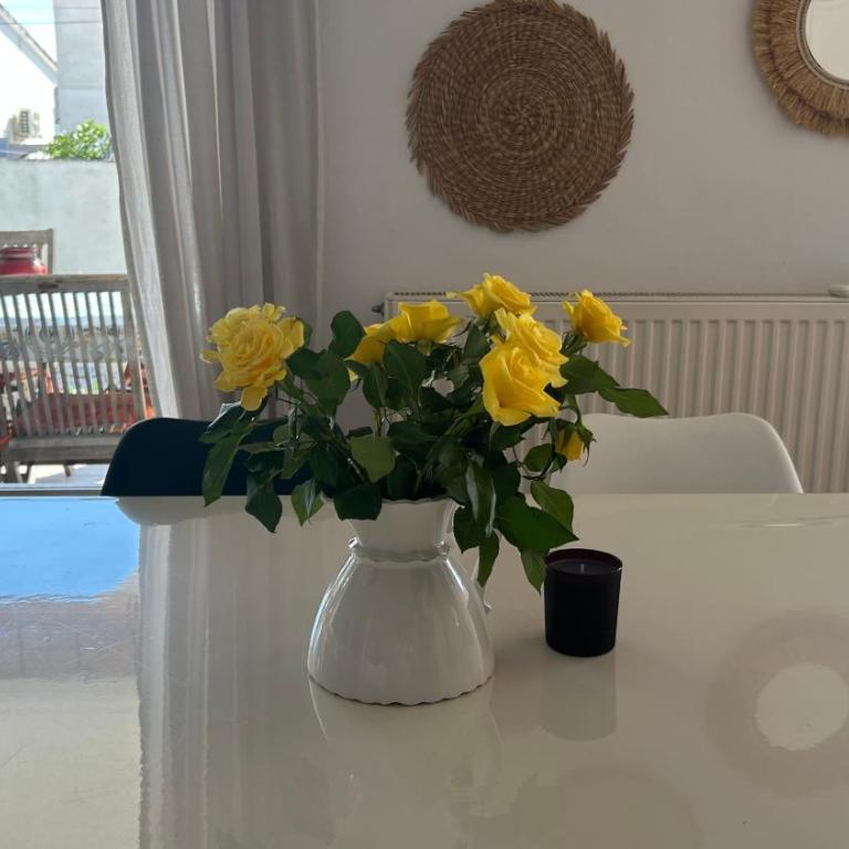 Envie bleue - Villa - 4