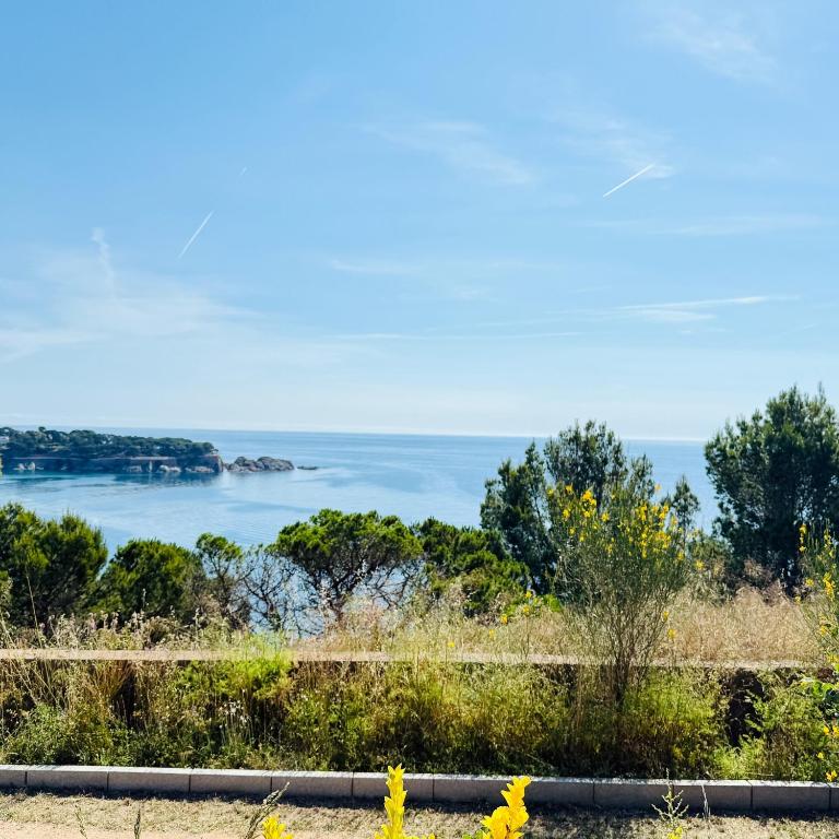 455 S'Agaro vista al Mar Montecarlo jardín priv - Apartamento con vistas al mar - 29