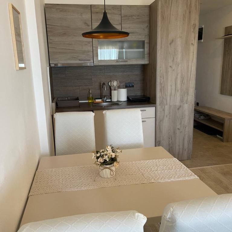 Apartman TAUNUS - One-Bedroom Apartment - 16