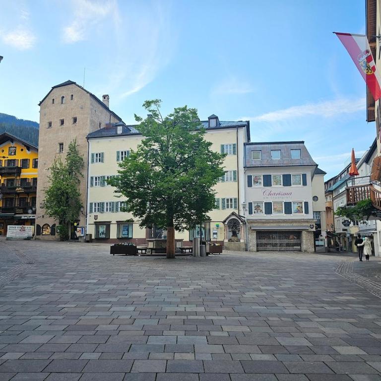 Gemütliche Ferienwohnung in Zell am See-Schüttdorf für bis zu 4 Personen - Standard Studio für 3 Personen - 11