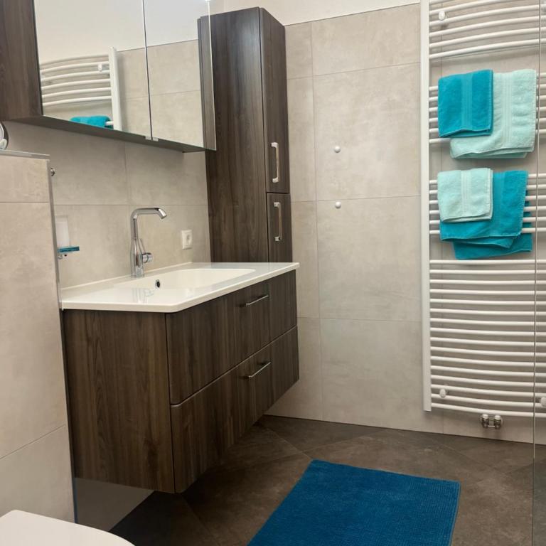 Apart Recheler - One-Bedroom Apartment with Balcony and Mountain View - 6