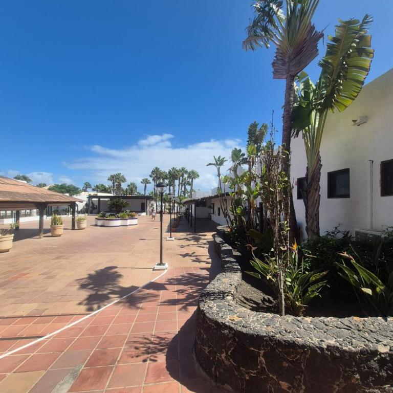 Oasis Dunas Raices del Mar Paraíso Único - Apartamento Deluxe de 1 dormitorio con vistas al jardín - 63