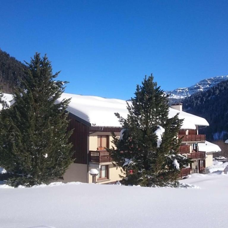 Grand appartement familial au pied des pistes pour 8 personnes - Appartement 2 Chambres - 10