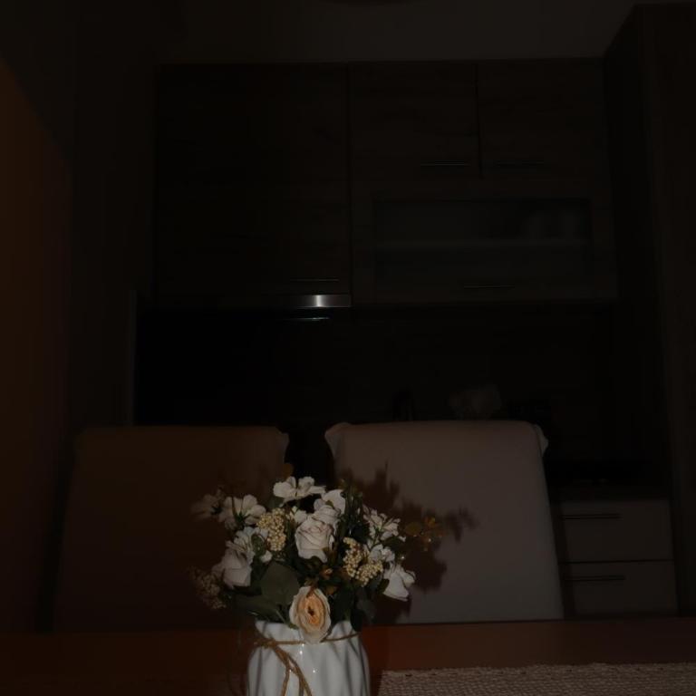 Apartman TAUNUS - One-Bedroom Apartment - 65