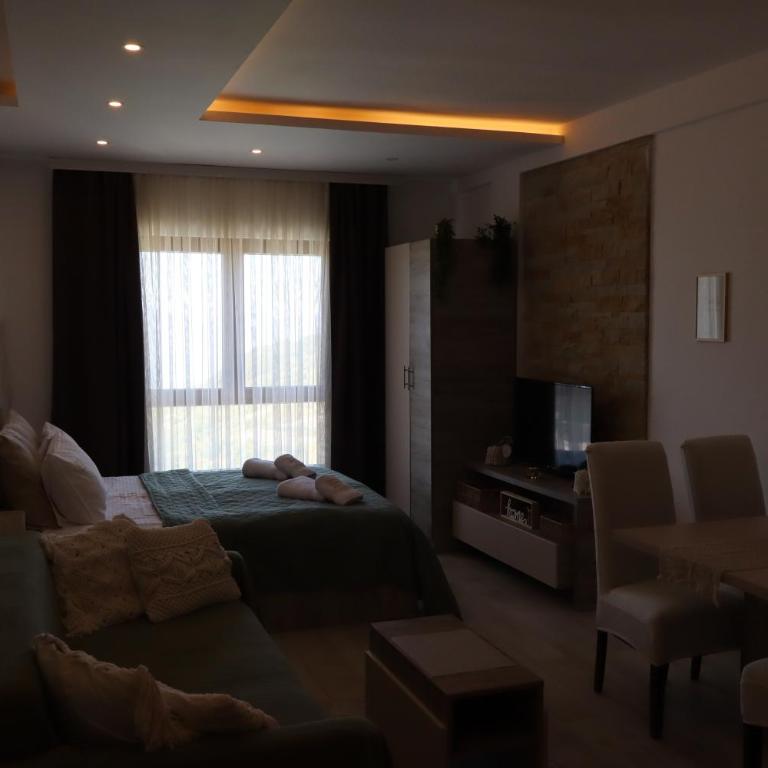 Apartman TAUNUS - One-Bedroom Apartment - 79