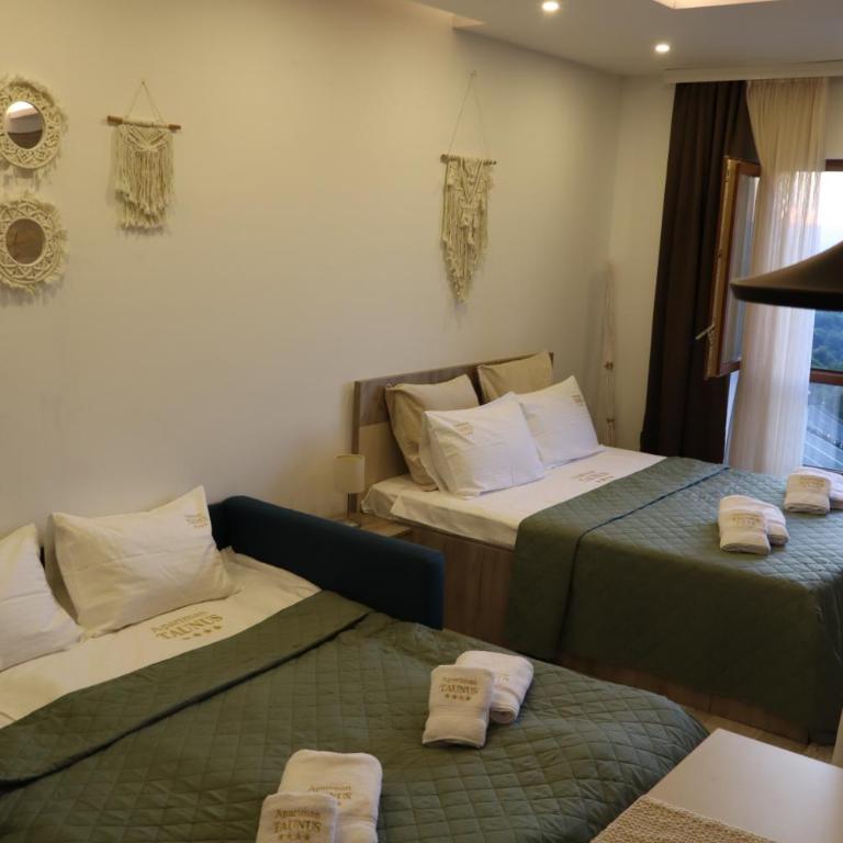 Apartman TAUNUS - One-Bedroom Apartment - 3