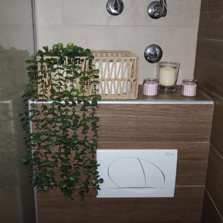 Apartman TAUNUS - One-Bedroom Apartment - 92