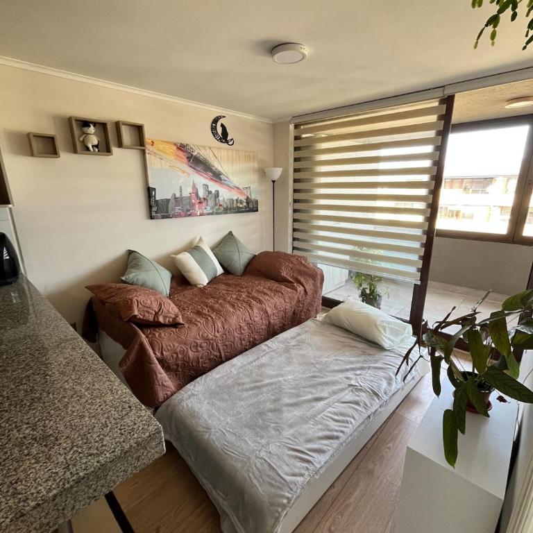 Acogedor y moderno departamento full equipado - Apartamento de 1 dormitorio - 2