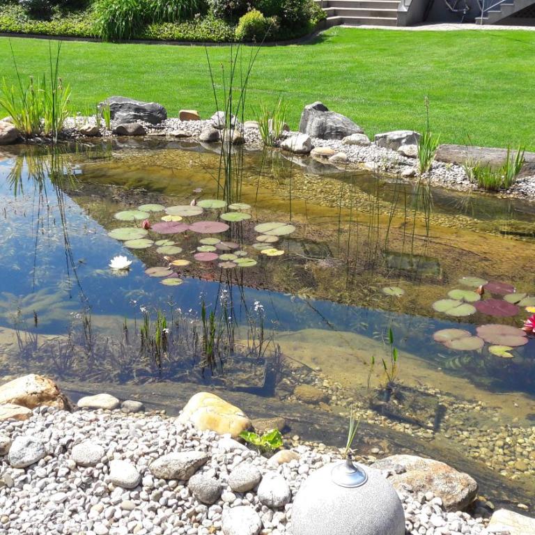 Lauras Ferienwohnung - Ihre Wohlfühloase in der Südweststeiermark mit Garten, Pool, Biotop & Weinbar - Apartment mit 2 Schlafzimmmern und eigenem Pool - 49