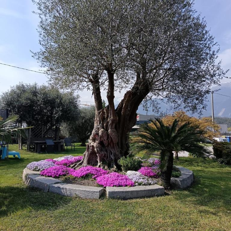 Diego apartment - Appartamento con 2 Camere da Letto - 1