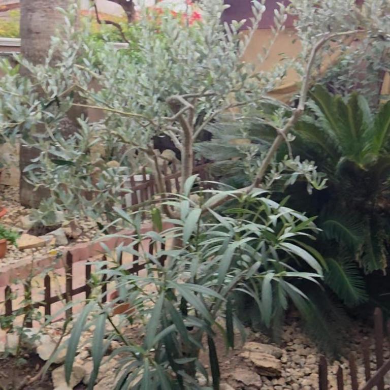 CASA DI ALICE A 250 METRI DAL MARE - Casa con 2 Camere da Letto - 29