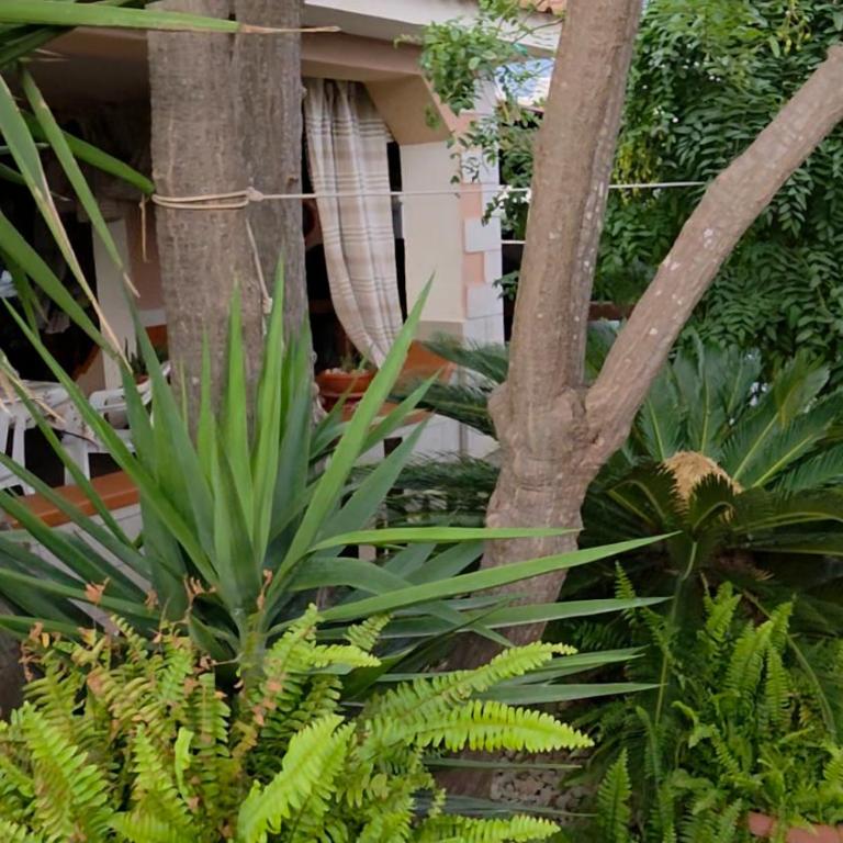 CASA DI ALICE A 250 METRI DAL MARE - Casa con 2 Camere da Letto - 30