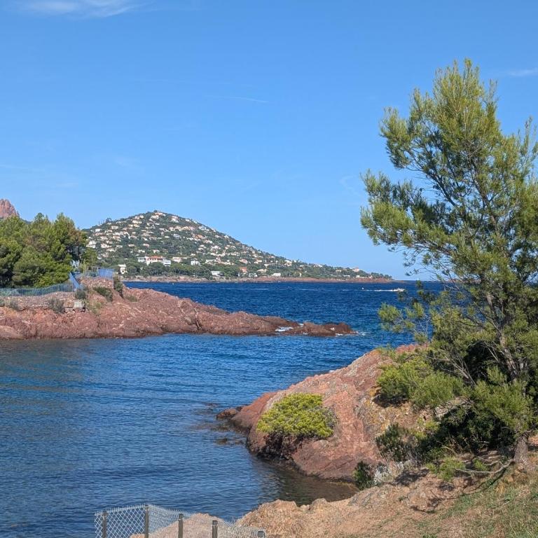 Superbe appartement T2 à 3mn à pied de la plage de Cap Long - Appartamento con 1 Camera da Letto - 1