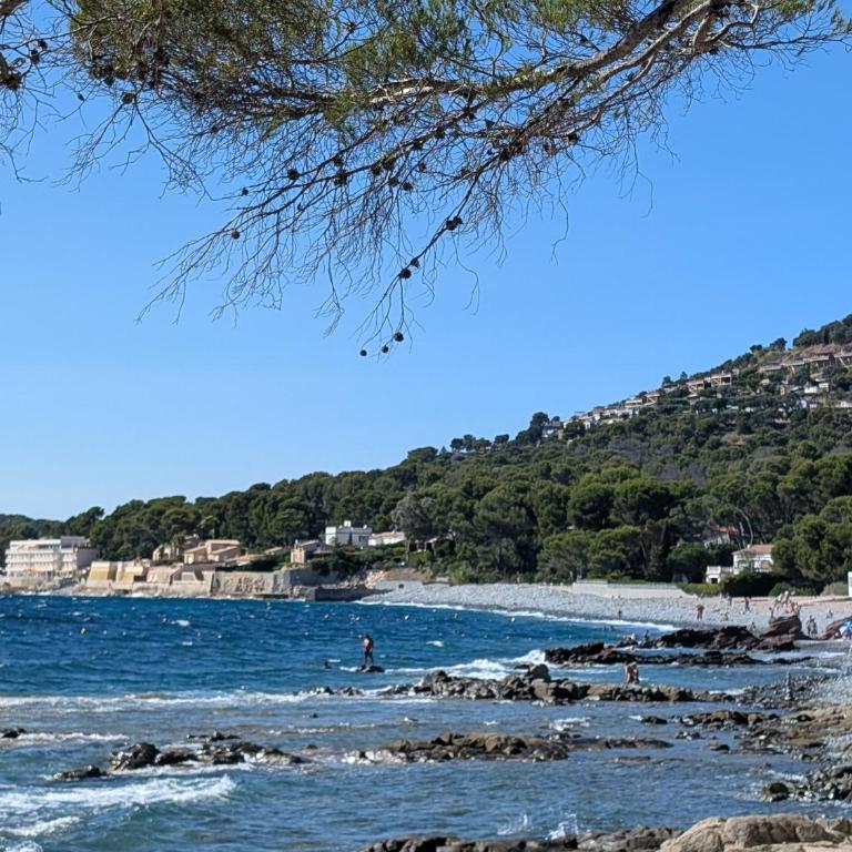 Superbe appartement T2 à 3mn à pied de la plage de Cap Long - Appartamento con 1 Camera da Letto - 44