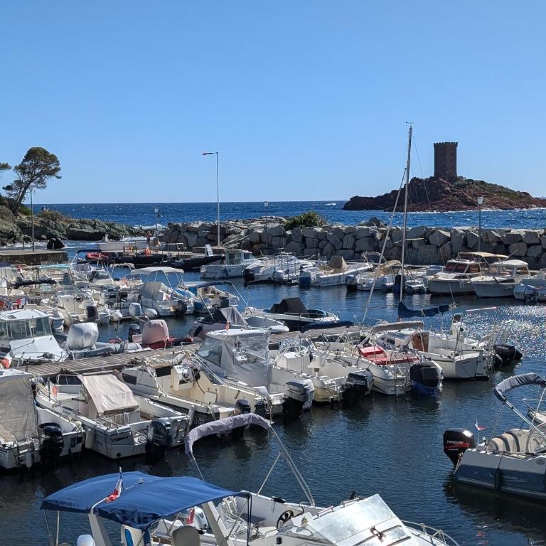 Superbe appartement T2 à 3mn à pied de la plage de Cap Long - Appartamento con 1 Camera da Letto - 58