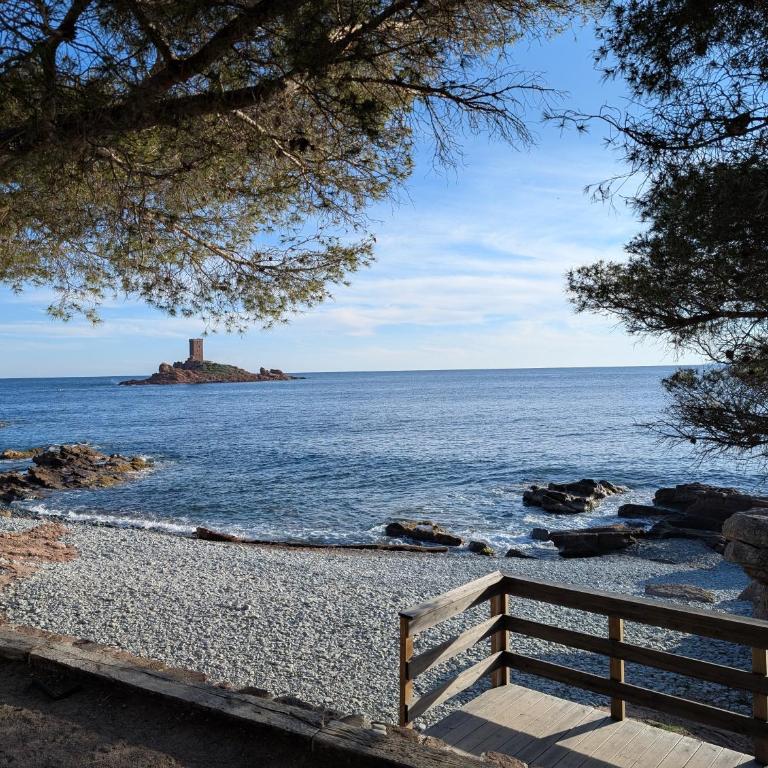 Superbe appartement T2 à 3mn à pied de la plage de Cap Long - Appartamento con 1 Camera da Letto - 45