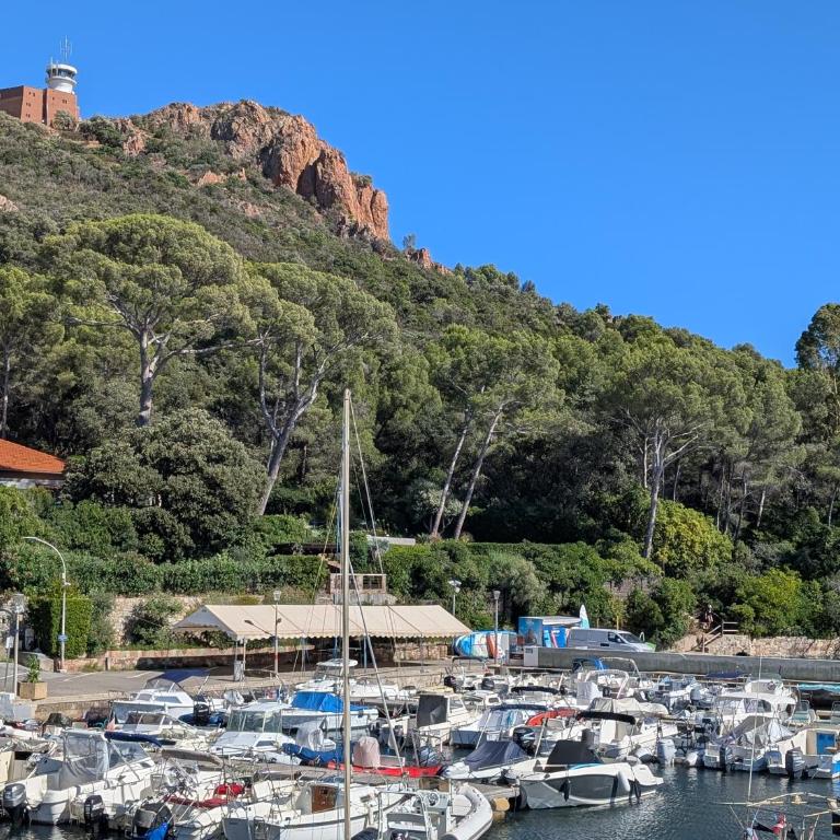 Superbe appartement T2 à 3mn à pied de la plage de Cap Long - Appartamento con 1 Camera da Letto - 59