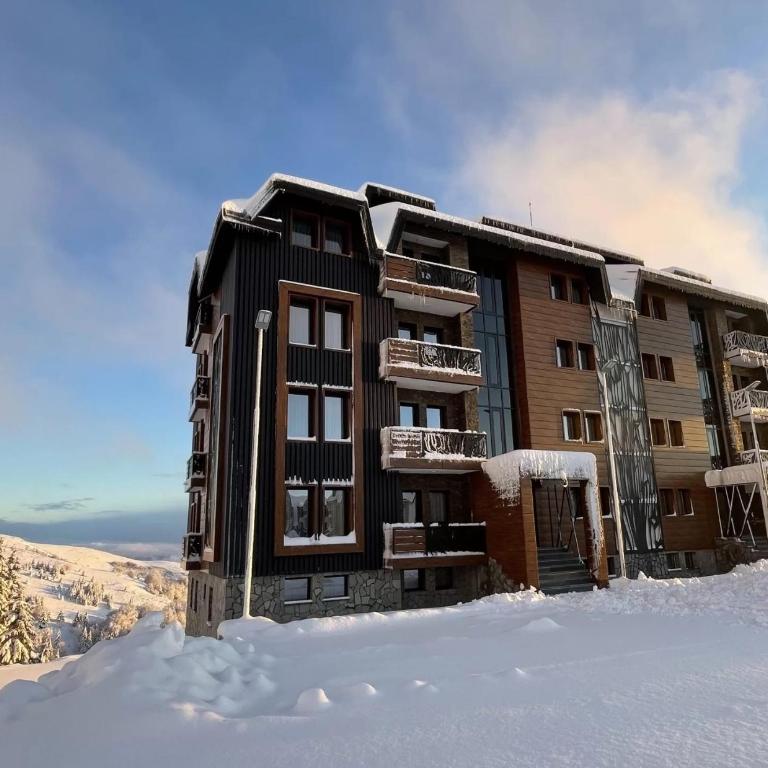 Mountain View Apartment - Vila Golija - Two-Bedroom Apartment - 10