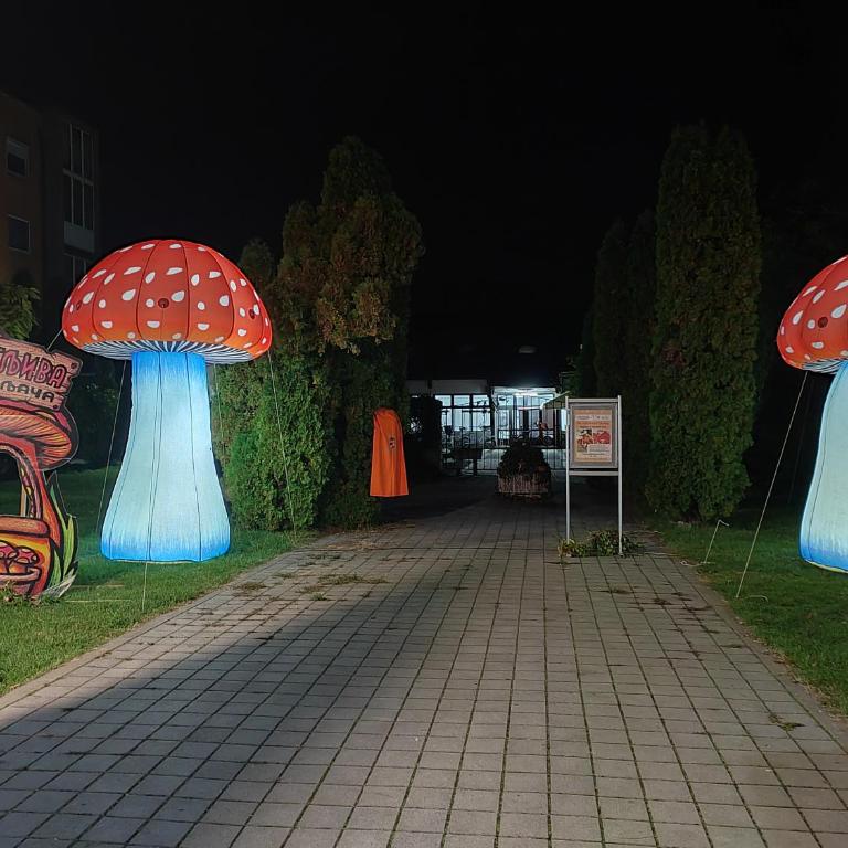 Apartman Simić Banja Koviljača - Apartman sa 1 Spavaćom Sobom - 31