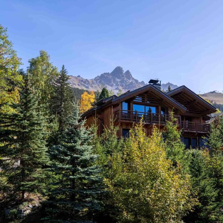 Chalet Le Nolde - Chalet - 71