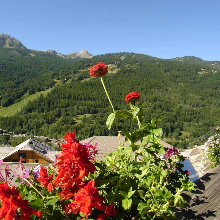 Chalet Pepette, Logement Calme et Élégant - Chalet Supérieur - 11