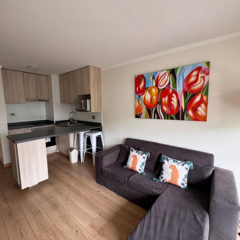 Nice apartment in Viña del Mar - Apartamento de 1 dormitorio - 1