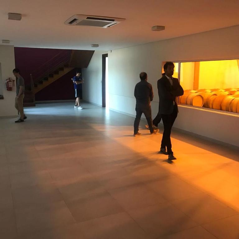 El Milo Hotel Boutique All Inclusive - Suite - 2