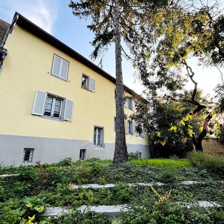 Appartement Mulhouse Centre historique - One-Bedroom Apartment - 9