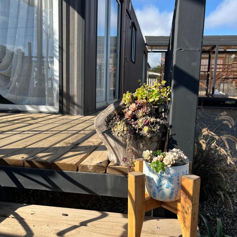 Cabaña en La Ballena, V región - Apartamento de 1 dormitorio - 5