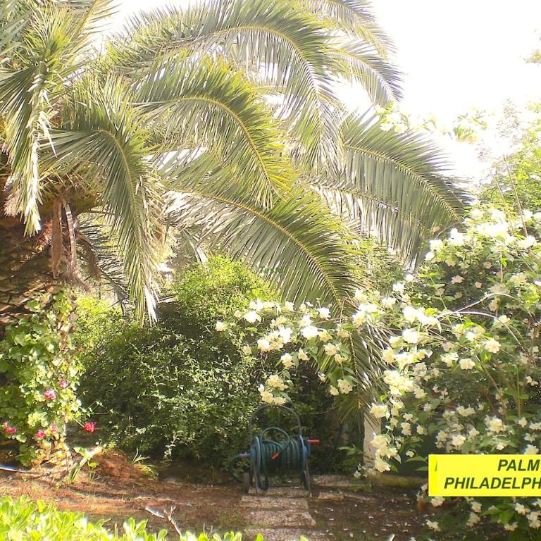 VILLASEASICILY , POOL SALT WATER and NATURAL CHLORINE IN BALESTRATE - PALERMO - Villa con Piscina Privata - 30