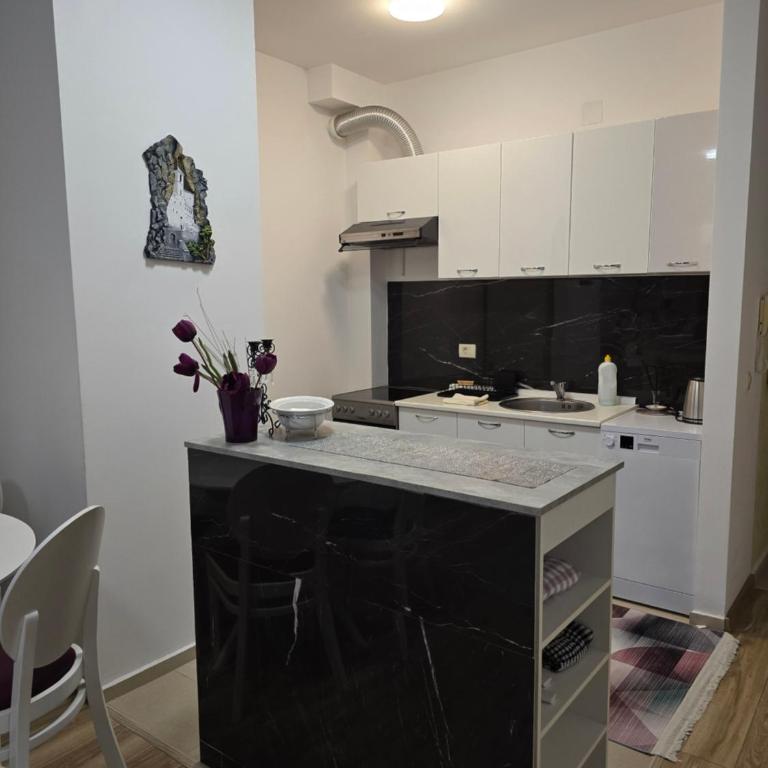 Flat Rafailovic One minute to Beach - Apartman sa 2 Spavaće Sobe - 19