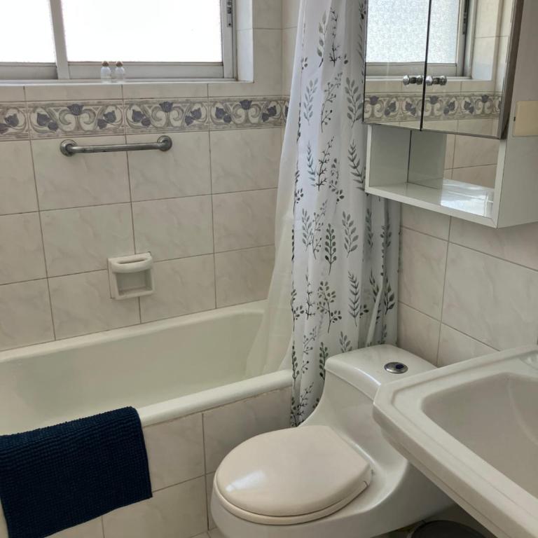 Beachfront apartment in Viña - Two-Bedroom Apartment - 45