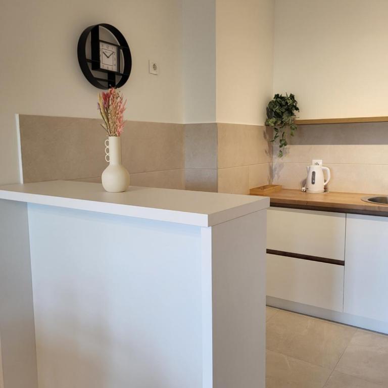 Green view apartment - One-Bedroom Apartment - 18